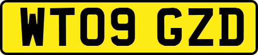 WT09GZD