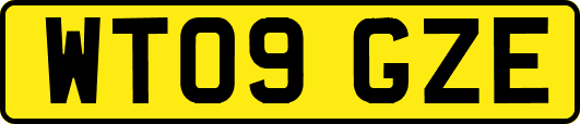 WT09GZE
