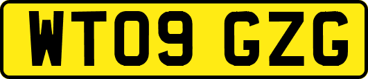 WT09GZG