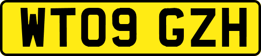 WT09GZH