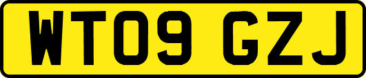 WT09GZJ