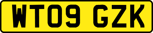 WT09GZK