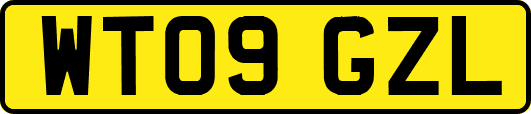 WT09GZL
