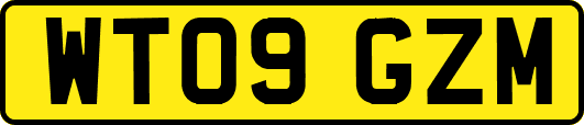 WT09GZM