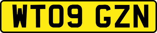 WT09GZN