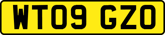 WT09GZO