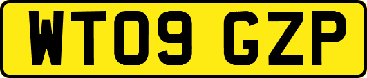 WT09GZP