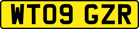 WT09GZR