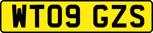 WT09GZS