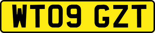 WT09GZT