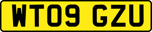 WT09GZU