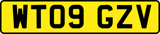 WT09GZV