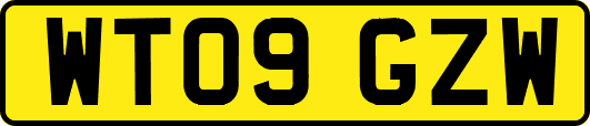 WT09GZW