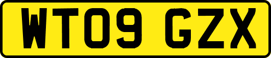 WT09GZX