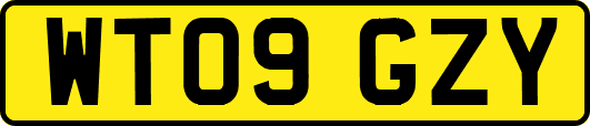 WT09GZY
