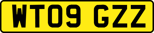 WT09GZZ