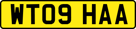 WT09HAA