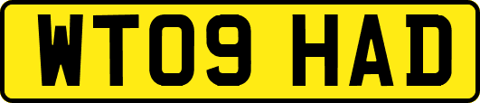 WT09HAD