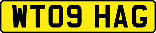 WT09HAG
