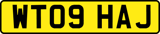 WT09HAJ