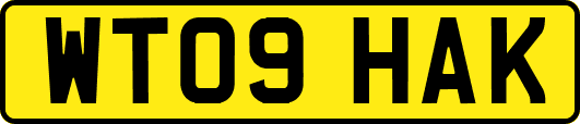 WT09HAK