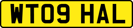 WT09HAL