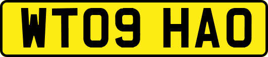 WT09HAO