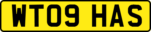 WT09HAS