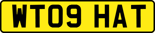 WT09HAT