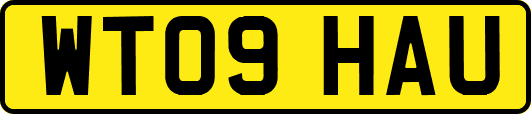 WT09HAU