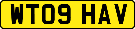 WT09HAV