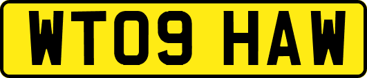 WT09HAW