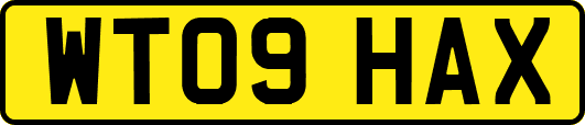 WT09HAX