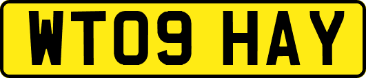 WT09HAY