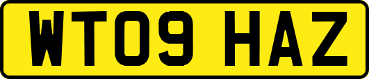 WT09HAZ