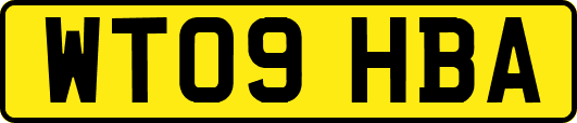 WT09HBA