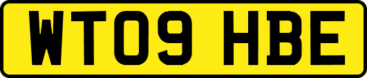 WT09HBE