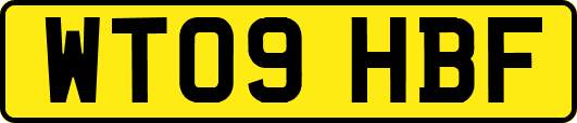 WT09HBF