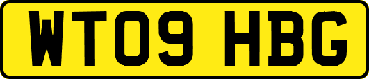 WT09HBG