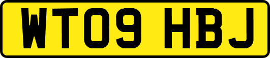 WT09HBJ