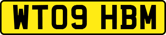 WT09HBM