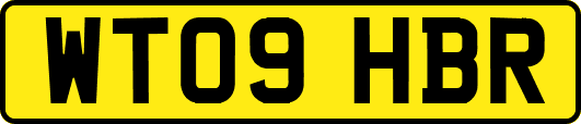 WT09HBR