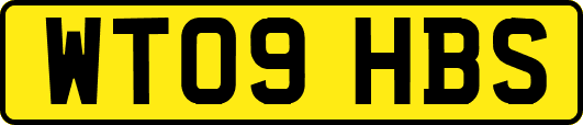 WT09HBS