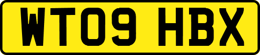 WT09HBX