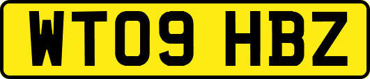 WT09HBZ