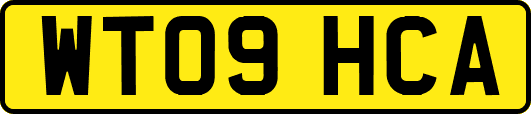 WT09HCA