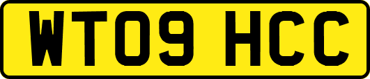 WT09HCC
