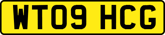 WT09HCG