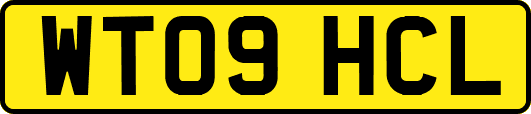 WT09HCL