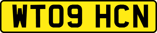 WT09HCN